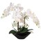 21-Inch White Phalaenopsis Orchid Arrangement in Black Ceramic Vase with Real Touch Foliage for Elegant Home Décor, Floral Home by Artificial Flowers
